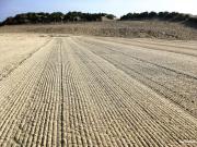 Top Le Touquet-Paris-Plage