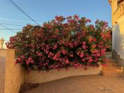 Top Denia