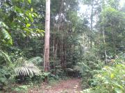 Top Rio Preto Da Eva