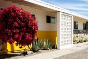 Top Twentynine Palms