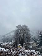 Top Srinagar
