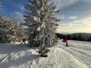 The Castle Mountain Apartments