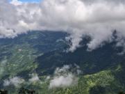Top Darjeeling