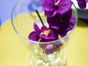 Quiet Bay Getaway Apt Mona 5 7 and 8