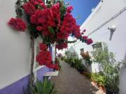 CORAZÓN DE CONIL