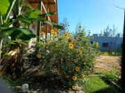 Top Balneário Arroio do Silva