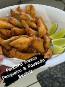 Top Piedade