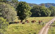 Farm Casita - The Vale Animal Sanctuary & Farmstay