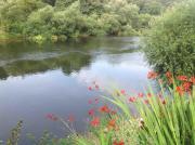 Top Bewdley