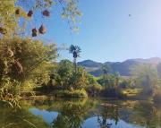 Top Franschhoek