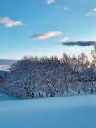 ゆらゆら亭 Yura Yura Tei