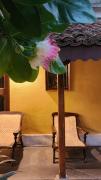 Top Puducherry