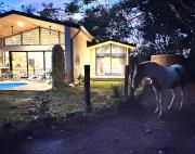 Villa Kaliah Luz w pool, Horses & beach nearby