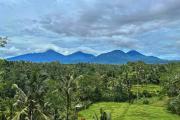 Top Bedugul