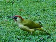 Top Cirey-sur-Vezouze