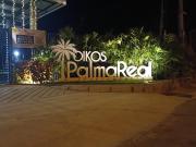 Apto en Flandes Palma real