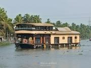 Top Alleppey