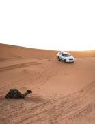 Amira Luxury Desert Camp