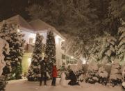 "FOREST RETREAT Luxury Villas"