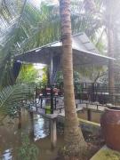 Homestay Vườn Dừa