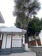 Top Tijuana Top Tijuana