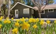 Top Big Bear Lake