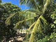 Top Tamarindo