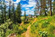 Top Coeur dAlene