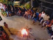 Wild Window - Forest View Homestay