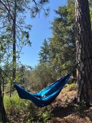 Top North Fork
