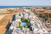 Top Paralimni