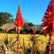 Top Piet Retief