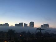 Top Los Angeles