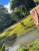 habitaciones ecopolis en el queremal