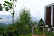 Top Ban San Pu Loei