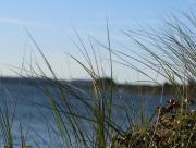 Top Neustadt in Holstein