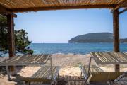 Top Isola Foradada