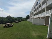 Top Laconia