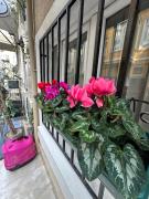 Top Istanbul
