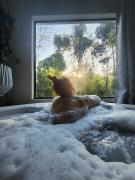 Studio Mata dos Curiós