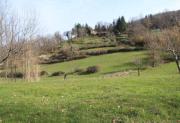 Top Cigliano Top Cigliano