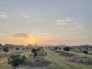 Little Forest Chiang Mai