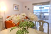 Top Altea