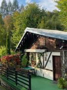 Top Sinaia
