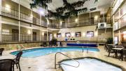 Top Minot