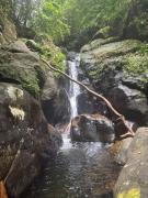 Moss Forest Cabin Wild Hikes &River Escapes withmeals