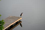 Top Gananoque Top Gananoque