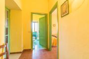 Top Viterbo