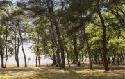Top Umag