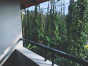 Top Sakleshpur